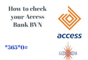 how to check your access bank bvn