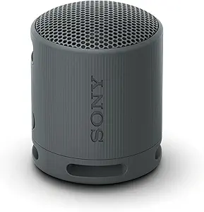 Sony SRS‑XB100