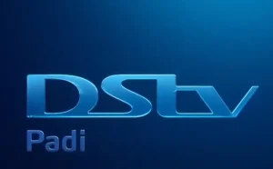 DStv Padi 1170x724 1 300x186 1