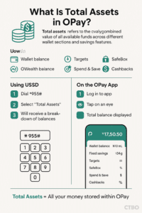 Total Assets in OPay: How to Track, Maximize, and Avoid Surprises with USSD or App