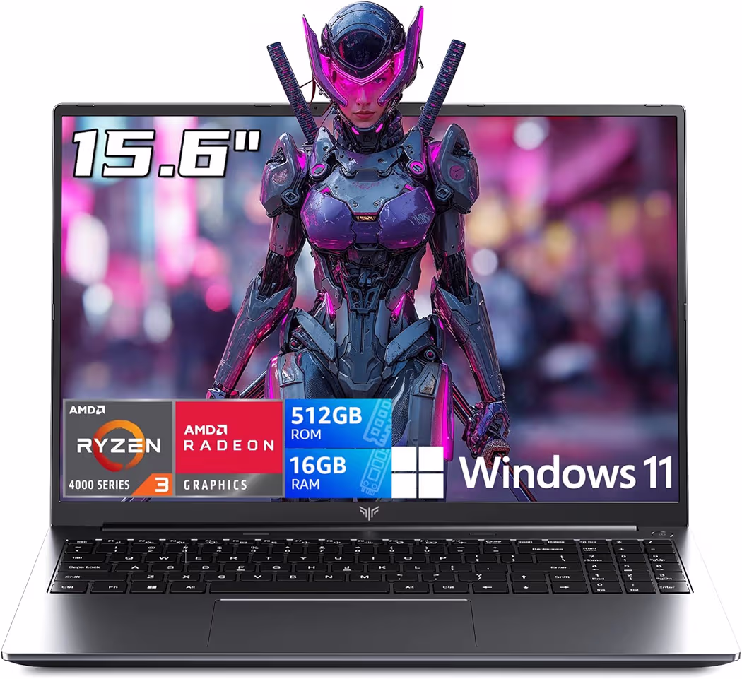 Ryzen 4300U Gaming Laptop Budget 2026