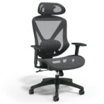 Dexley Chair Review: Is It Worth It in 2026?