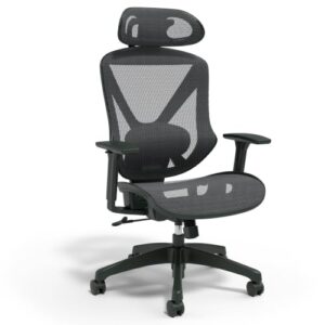 Dexley Chair Review: Is It Worth It in 2026?